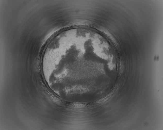 X0000090440878200708031151