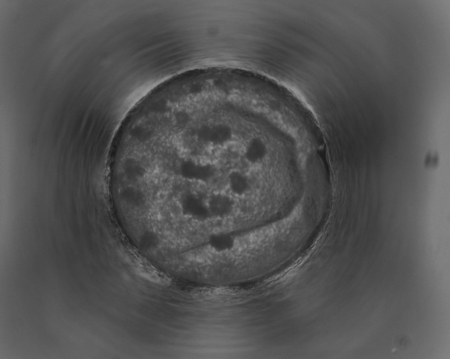 X0000090440879200708031151