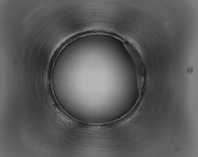 X0000090440880200708031151