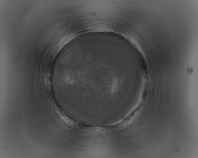 X0000090440881200708031151