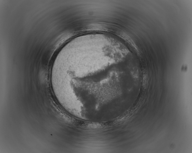 X0000090440882200708031151