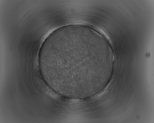 X0000090440883200708031151