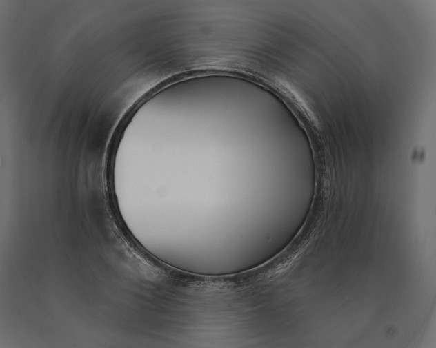 X0000090440884200708031151