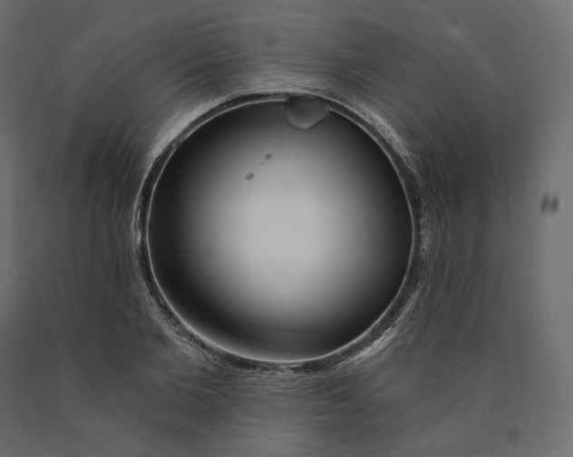 X0000090440885200708031151