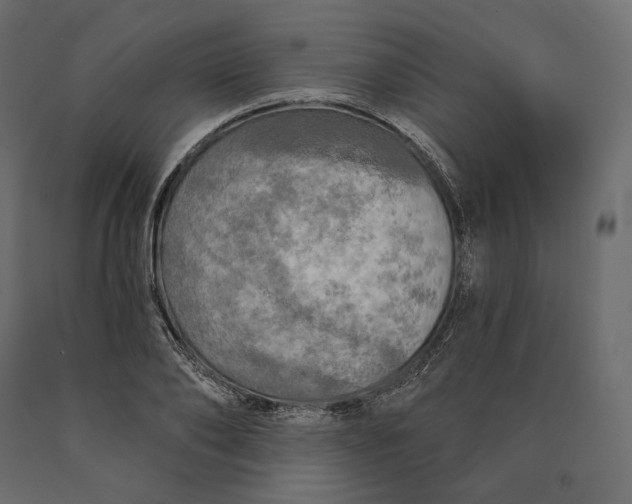 X0000090440886200708031151