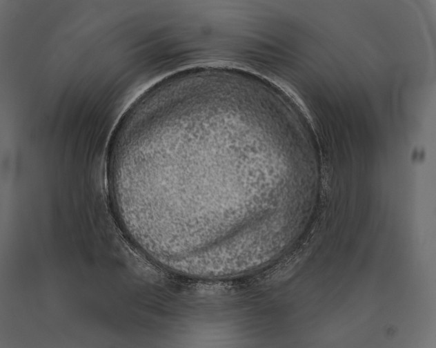 X0000090440887200708031151