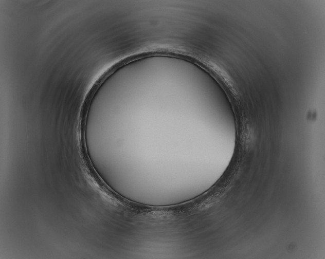 X0000090440888200708031151