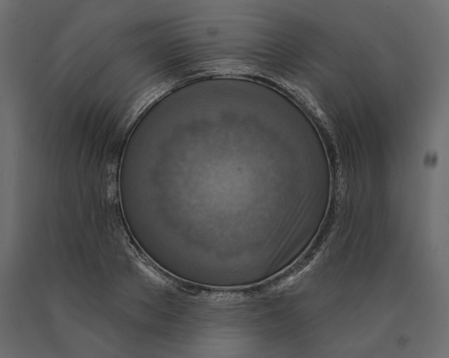 X0000090440889200708031151