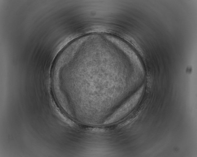 X0000090440890200708031151