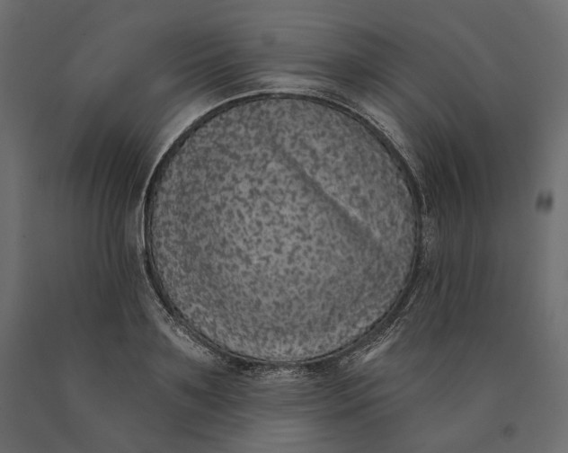 X0000090440891200708031151