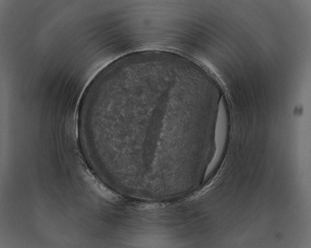 X0000090440892200708031151