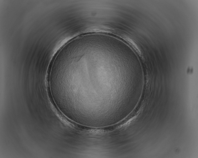 X0000090440893200708031151