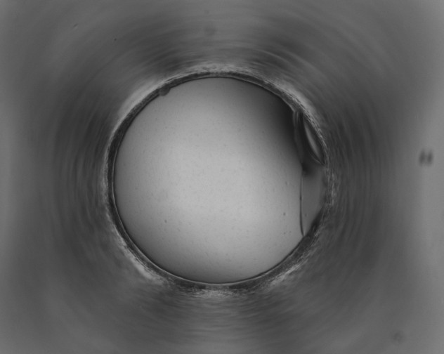 X0000090440894200708031151