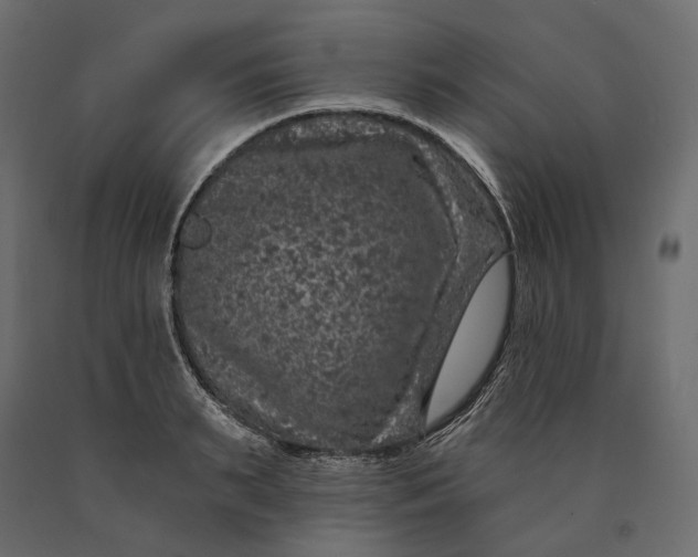 X0000090440895200708031151