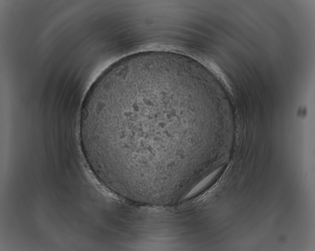 X0000090440896200708031151