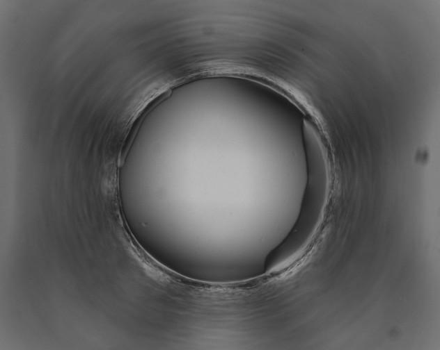 X0000090440897200708031151