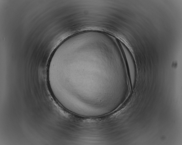 X0000090440898200708031151