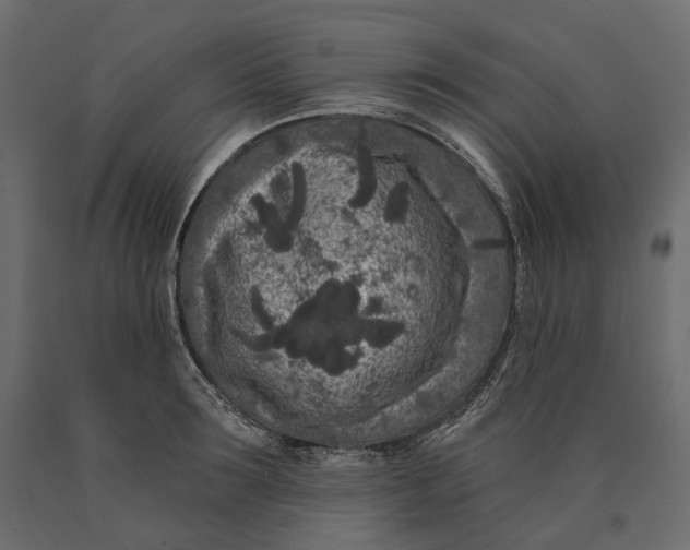 X0000090440899200708031151