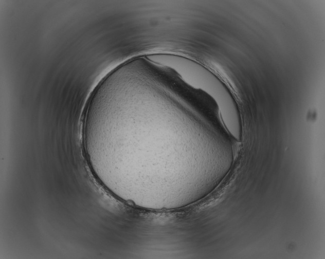 X0000090440900200708031151