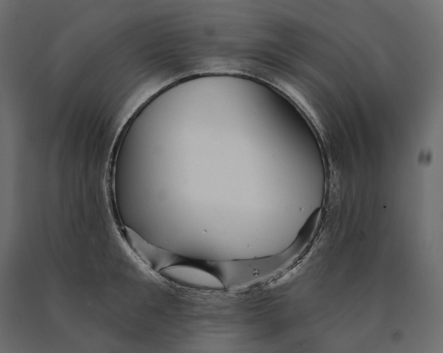 X0000090440901200708031151