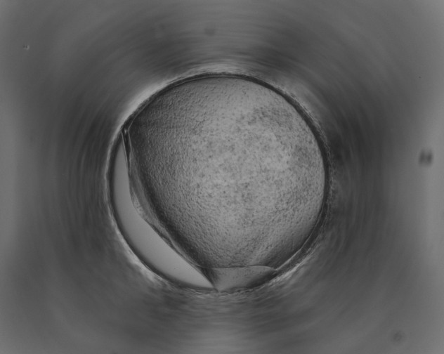 X0000090440902200708031151