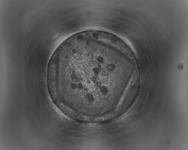 X0000090440903200708031151