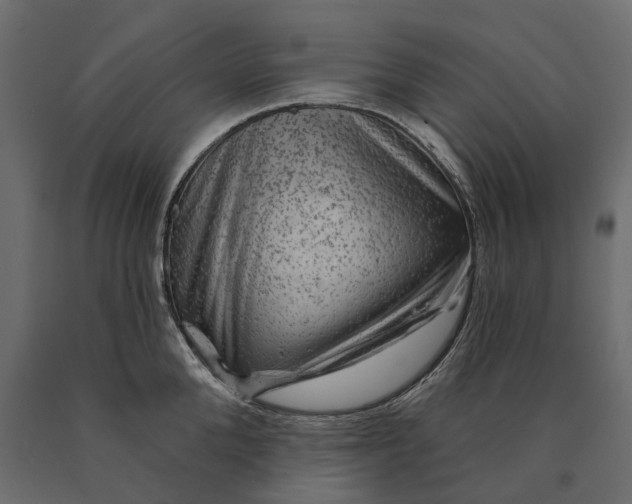 X0000090440904200708031151