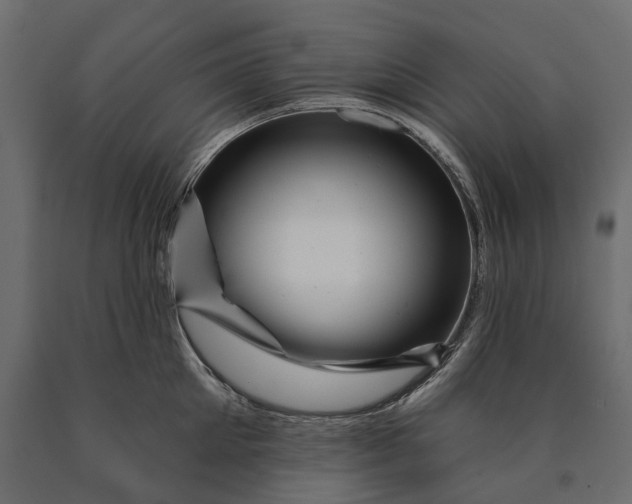 X0000090440905200708031151