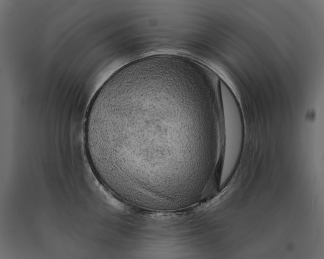 X0000090440906200708031151