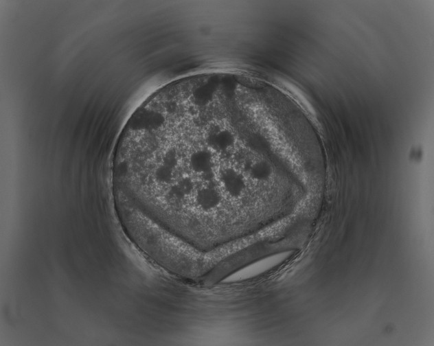 X0000090440907200708031151