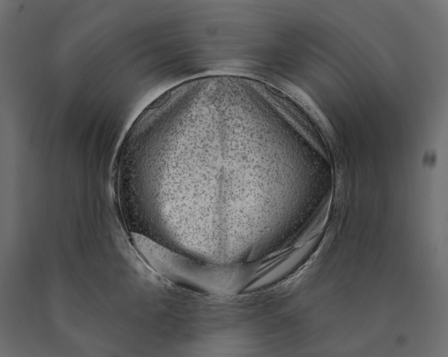 X0000090440908200708031151