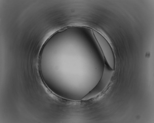 X0000090440909200708031151