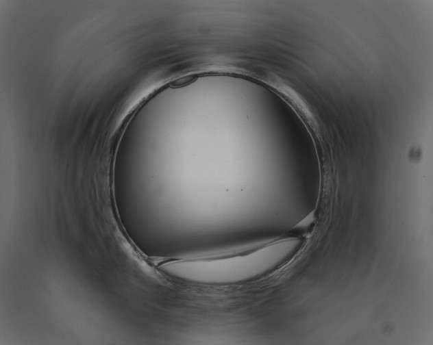 X0000090440910200708031151