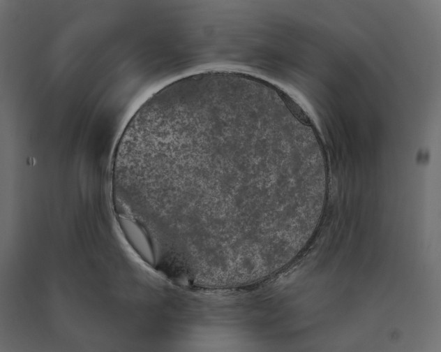 X0000090440911200708031151