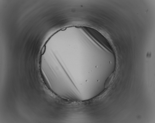 X0000090440912200708031151