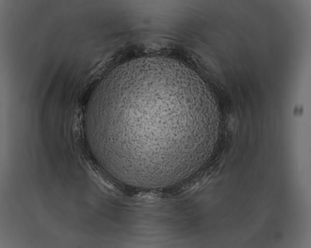 X0000090440914200708031150