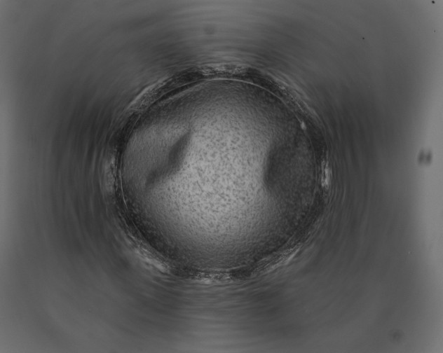 X0000090440915200708031150