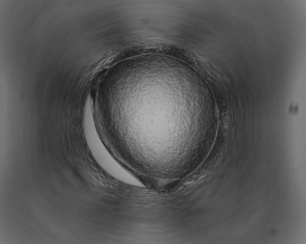 X0000090440916200708031150