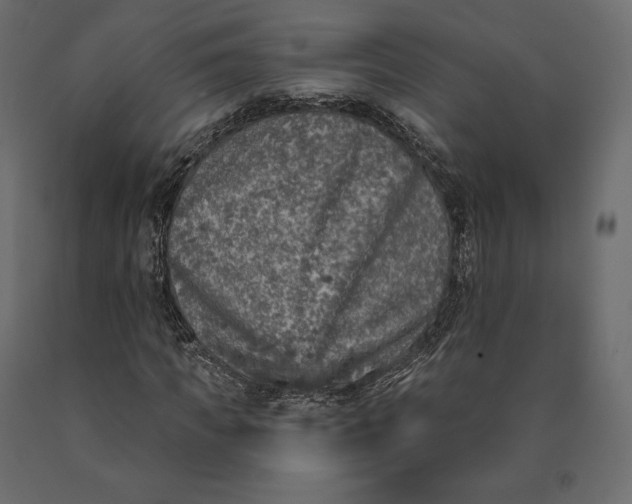 X0000090440917200708031150