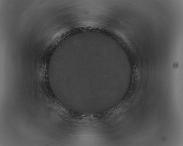 X0000090440918200708031150