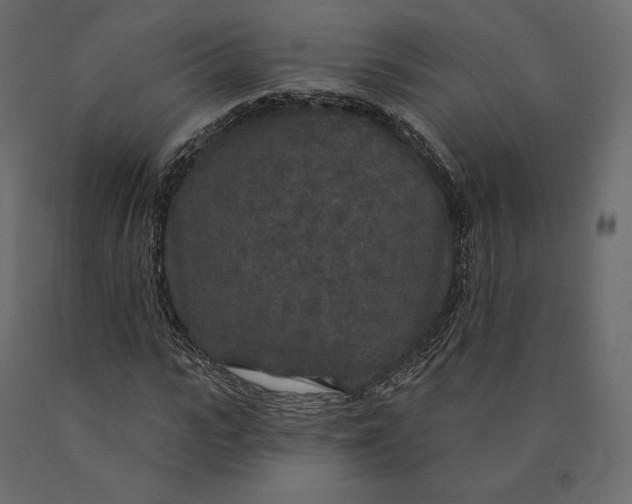 X0000090440919200708031150