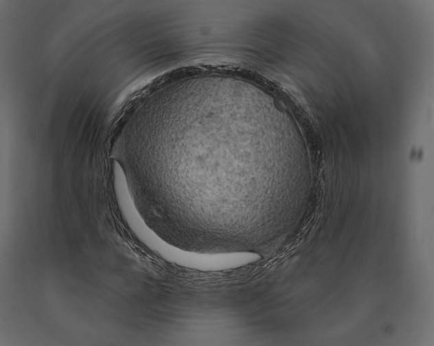 X0000090440920200708031150