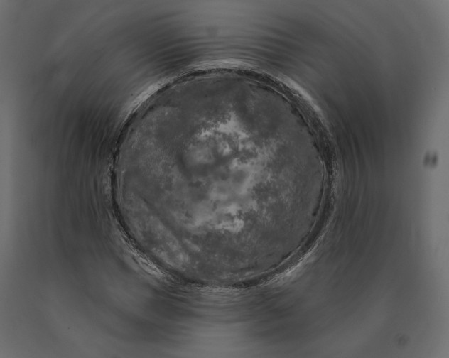 X0000090440921200708031150