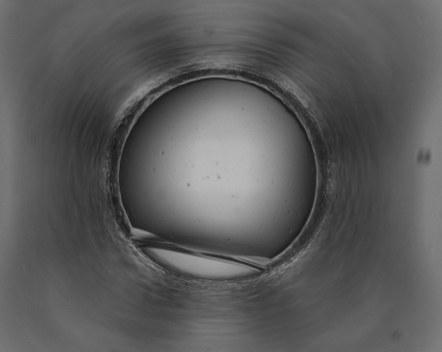 X0000090440922200708031150