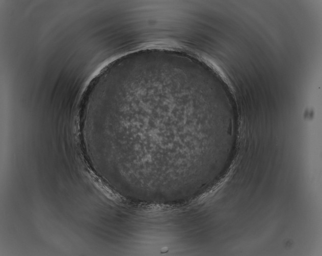 X0000090440923200708031150