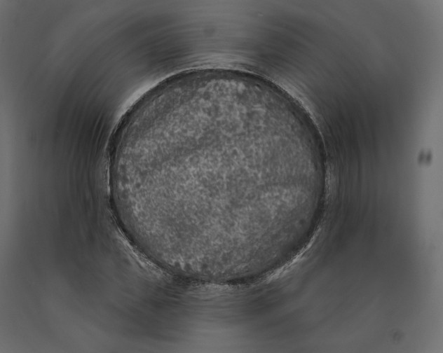 X0000090440925200708031150