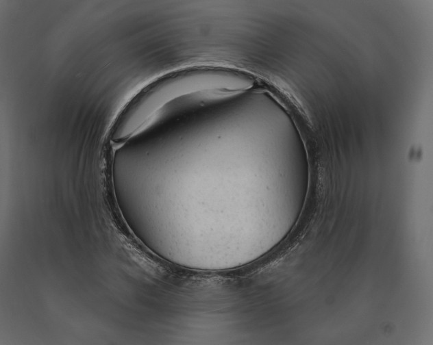 X0000090440926200708031150