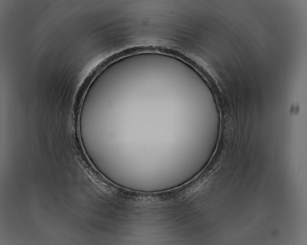 X0000090440927200708031150