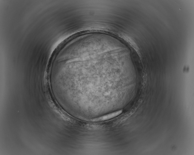 X0000090440928200708031150