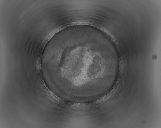 X0000090440929200708031150